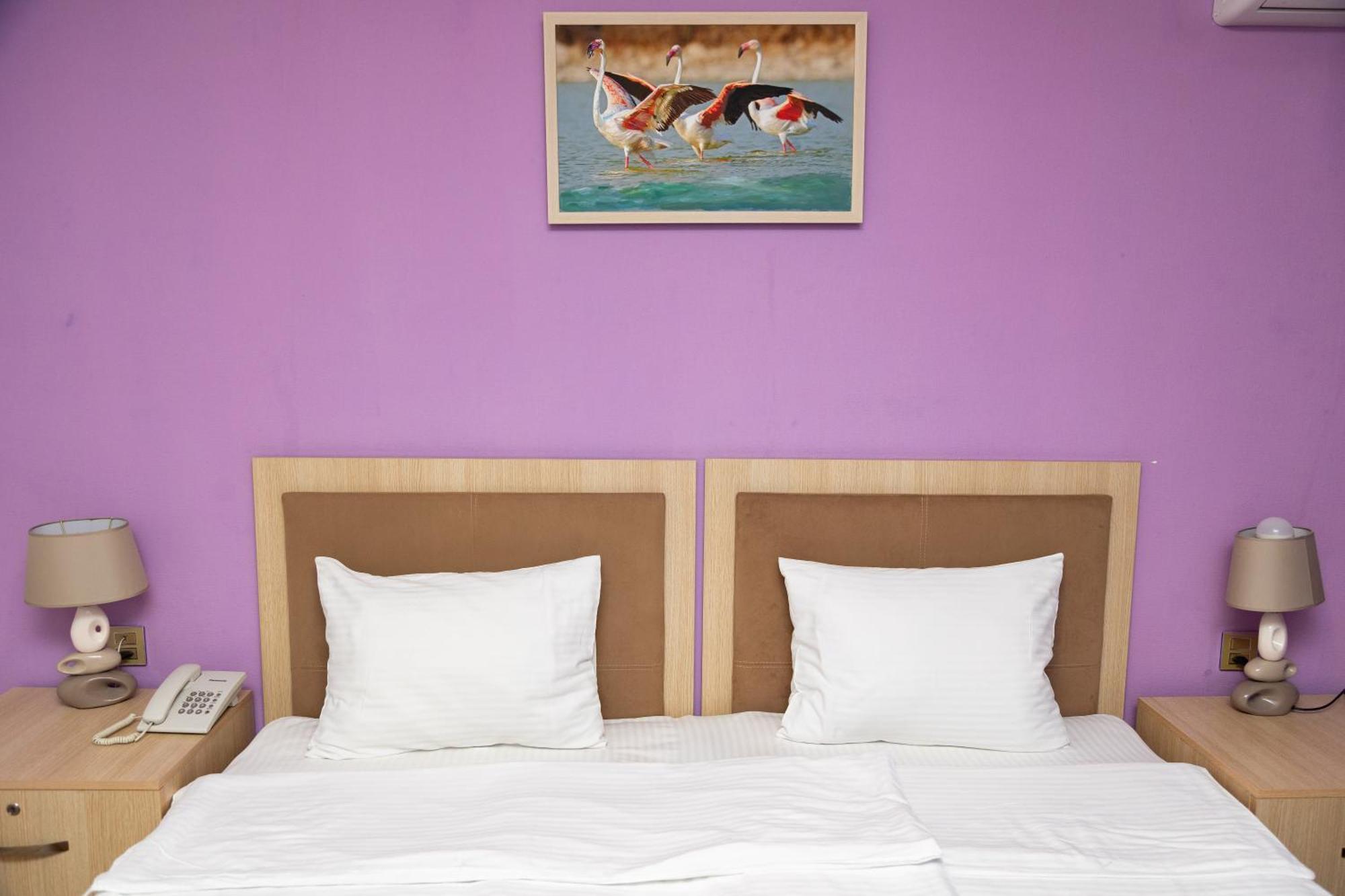 Flamingo Hotel באקו מראה חיצוני תמונה