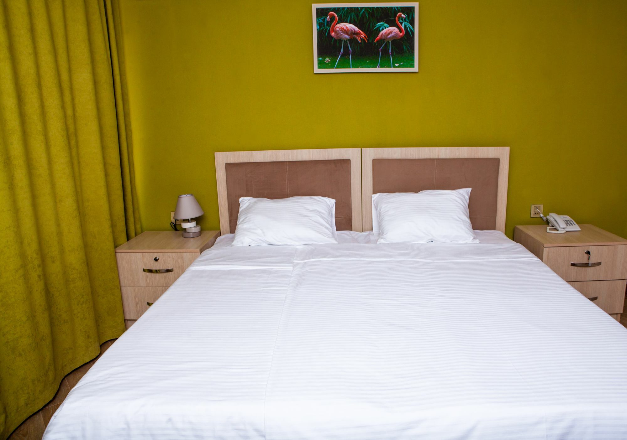 Flamingo Hotel באקו מראה חיצוני תמונה